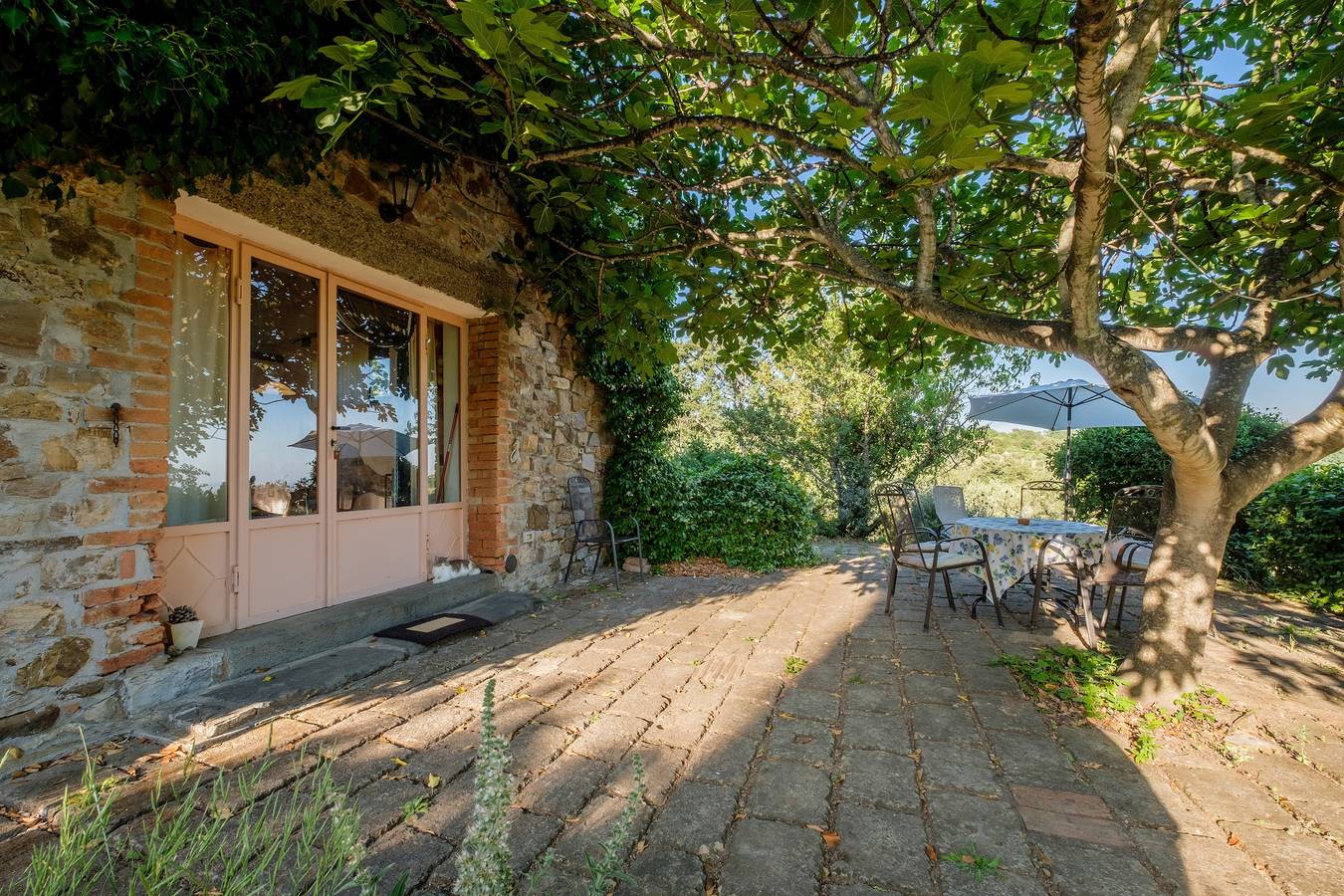 Agriturismo 'Stella Sud Podere Carbone' con terrazza e Wi-Fi in Scansano, Provincia di Grosseto