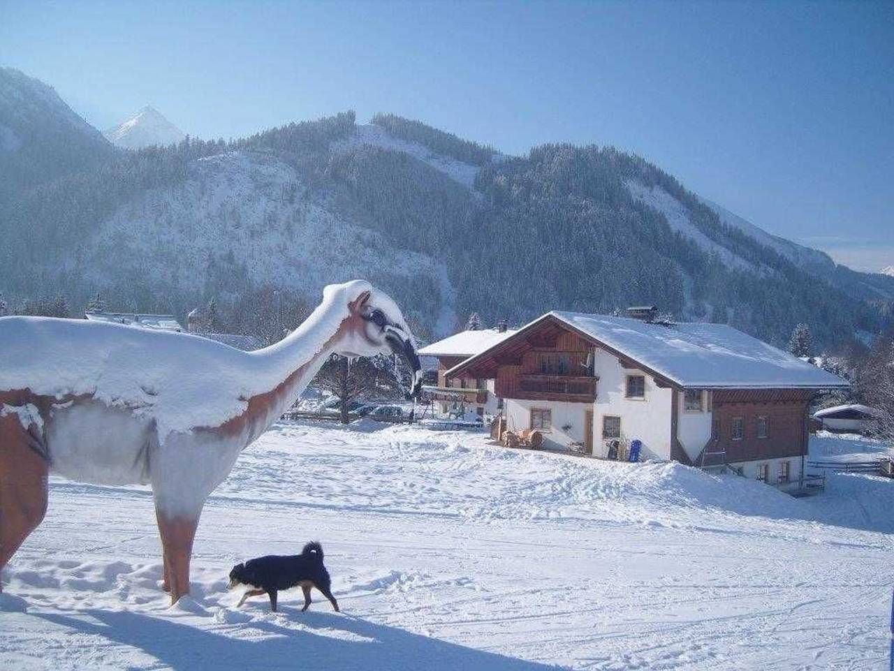 Ganze Wohnung, Haus Regenacker - Einstein in Tannheim (Tirol), Allgäuer Alpen (Österreich)