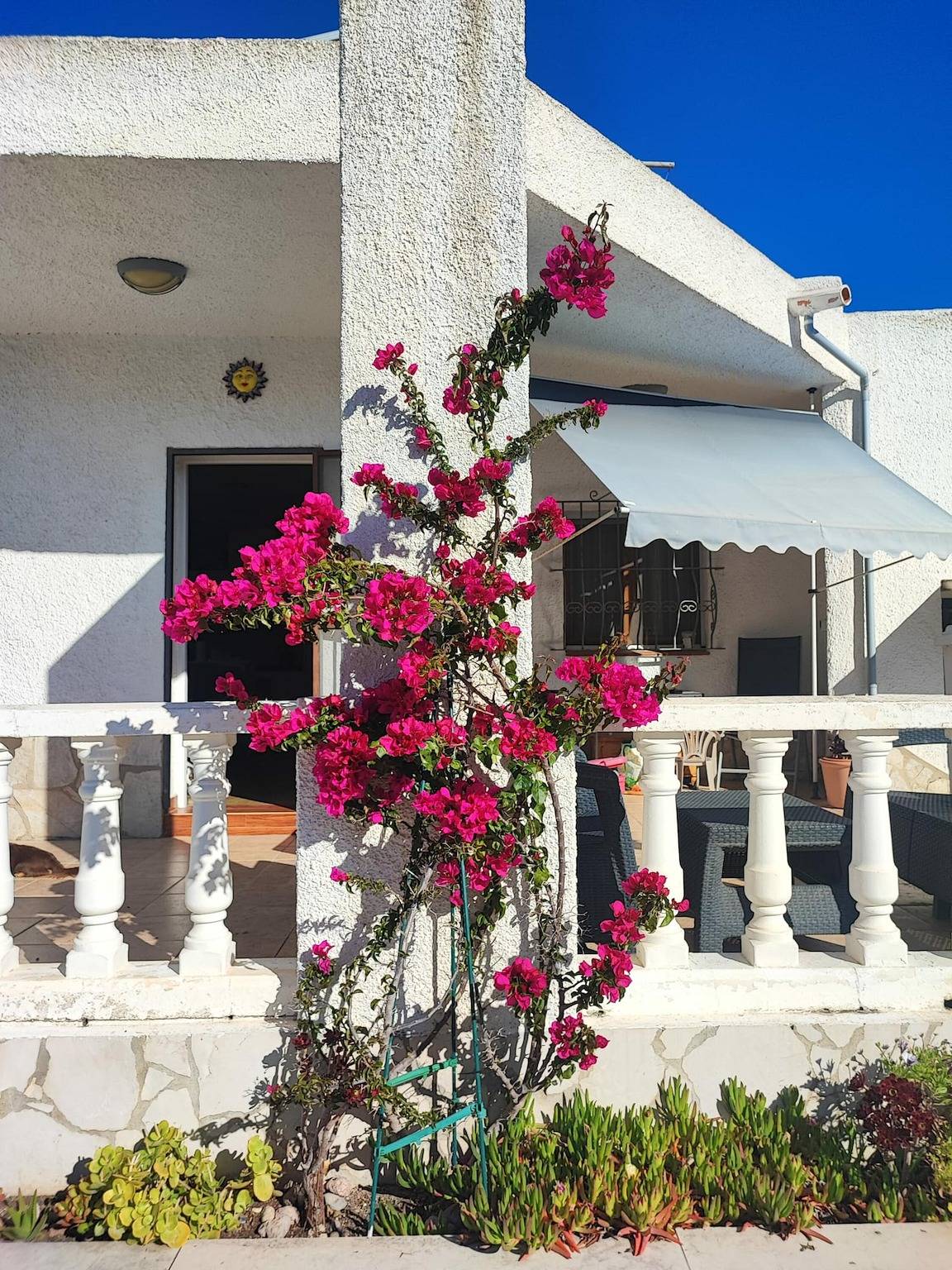 Casa Finn, Ideal fuer Ihren Urlaub am Meer, Witi gratis, optional Klimaanlage, Privatpool, Hunde erlaubt, Hundestrand in Riumar, Delta de l'Ebre