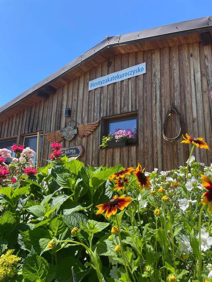 Ferienwohnung für 4 Personen, mit Garten und Ausblick sowie Sauna und Pool - 1