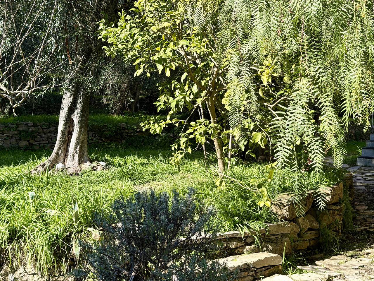 Ganze Wohnung, 1052Im - Casa Don Camillo in Trincheri, Dolcedo Gemeinde