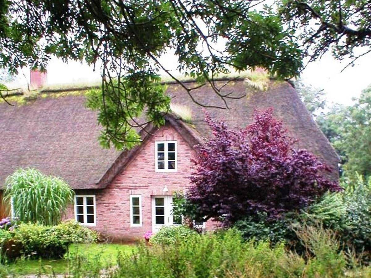 Marie Carla in Simonsberg, Halbinsel Eiderstedt