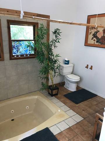 Vacation House for 10 Guests in Austin (TX), Travis County, Picture 2