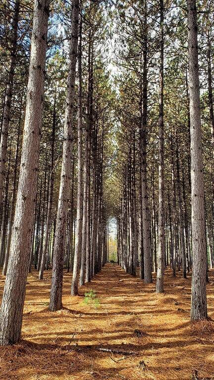 Camping pour 8 personnes dans Canada - 3