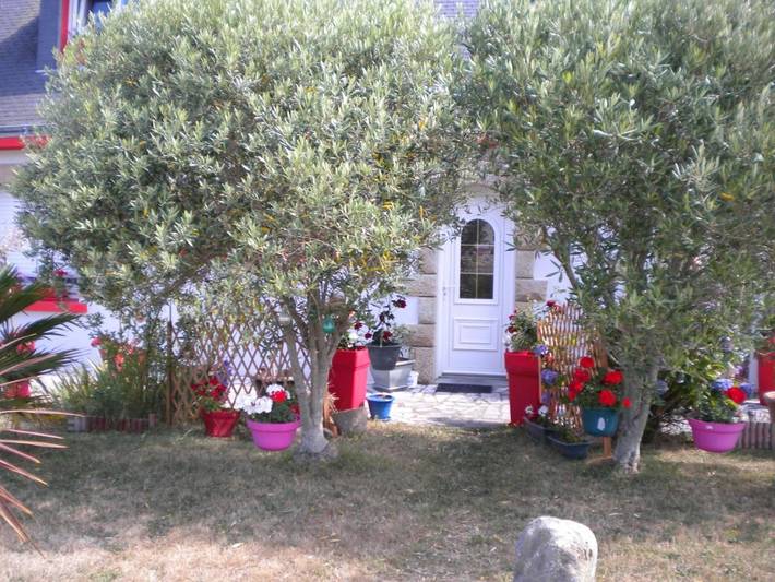 Appartement de vacances pour 4 personnes, avec jardin, animaux acceptés - 1
