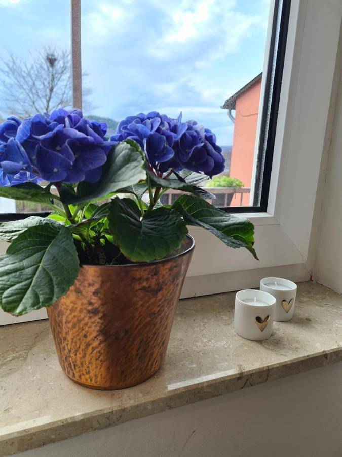 Gîte pour 4 personnes, avec vue et balcon dans Oberemmel - 3