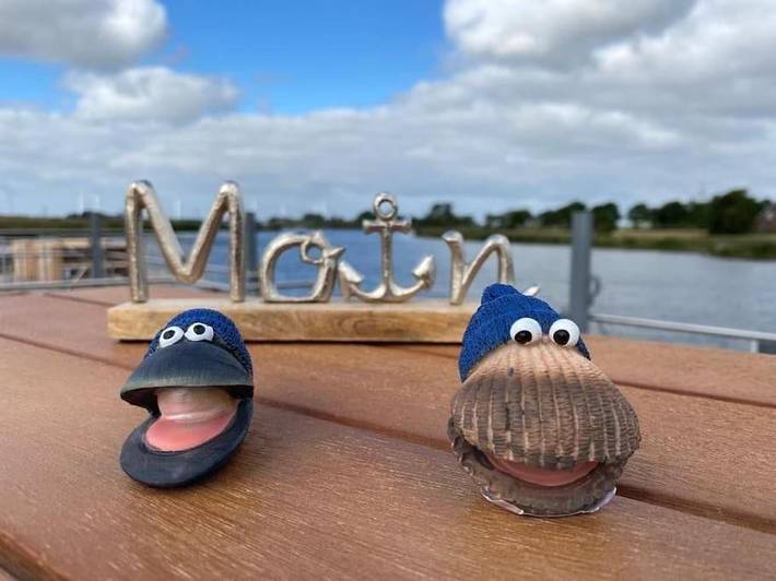Boot für 4 Personen, mit Ausblick und Terrasse sowie Seeblick, mit Haustier in Wangerland - 2
