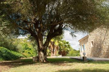 Villa in Manacor, East Majorca für 8 
