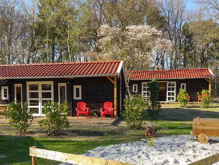 Vakantiewoning voor 4 personen, with tuin and zwembad as well as terras, kindvriendelijk in Ruinen
