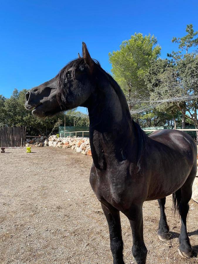 Les Gites du Parc Animalier de Ginasservis in Ginasservis, Région de Brignoles