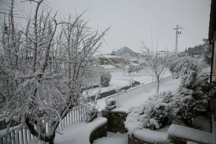 Location de vacances pour 3 personnes, avec jardin et vue, animaux acceptés à Cinto Euganeo - 3