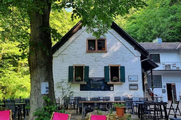 Ferienwohnung für 4 Personen, mit Balkon, mit Haustier in Deidesheim - 2