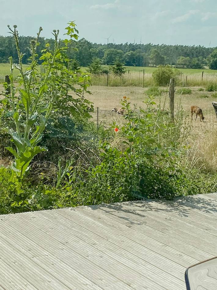 Ferienhaus für 2 Personen, mit Terrasse, mit Haustier in Märkische Schweiz - 2