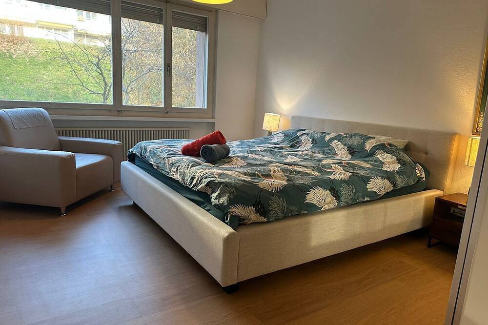 Entire apartment, Cozy Room with Large Terrace & Stunning View in Zurich, Zurich district