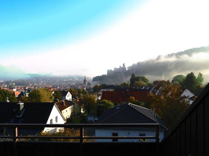 Ferienwohnung für 5 Personen, mit Terrasse und Garten sowie Ausblick in Wertheim - 3