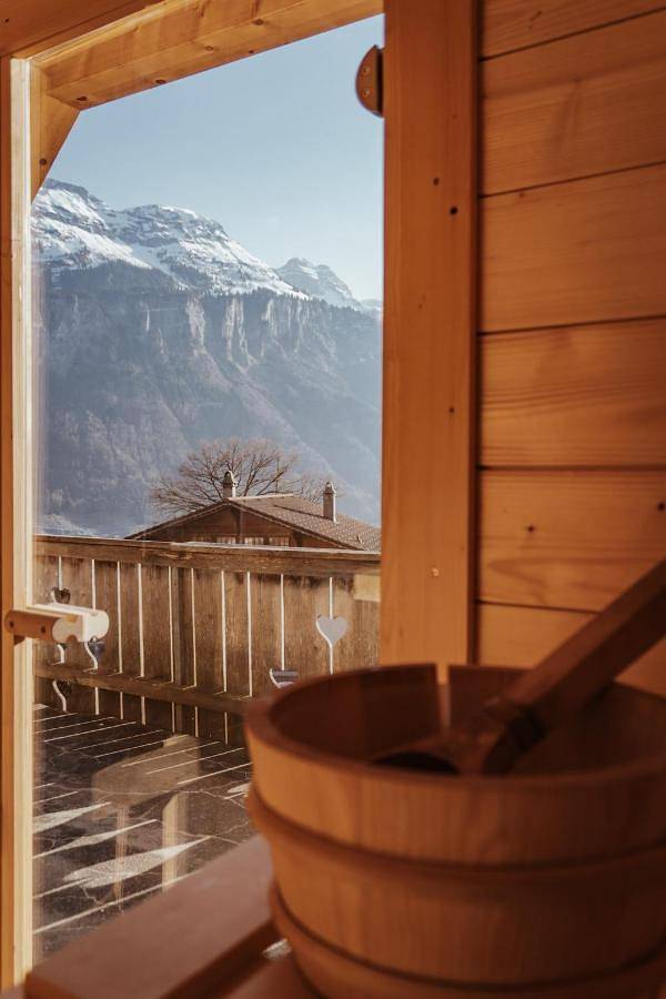 Gîte pour 10 personnes, avec vue ainsi que sauna et terrasse à Brienzwiler - 4