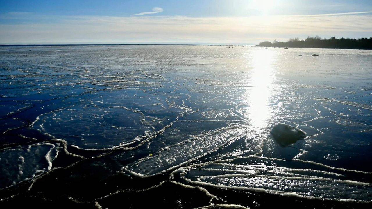 Ferienhaus für 6 Personen (80 m²) in Halmstad in Halmstad, Halland