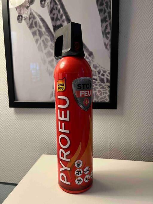 Gîte pour 3 personnes à Saint-Jory - 4