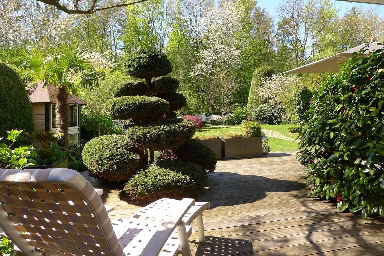 Ganze Ferienwohnung, Seemöwe in Wyk auf Föhr (Stadt), Wyk auf Föhr