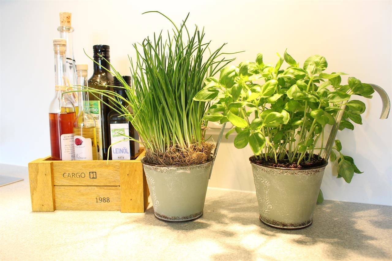 Ganze Ferienwohnung, Appartement 22 in St. Peter-Bad, St. Peter-Ording