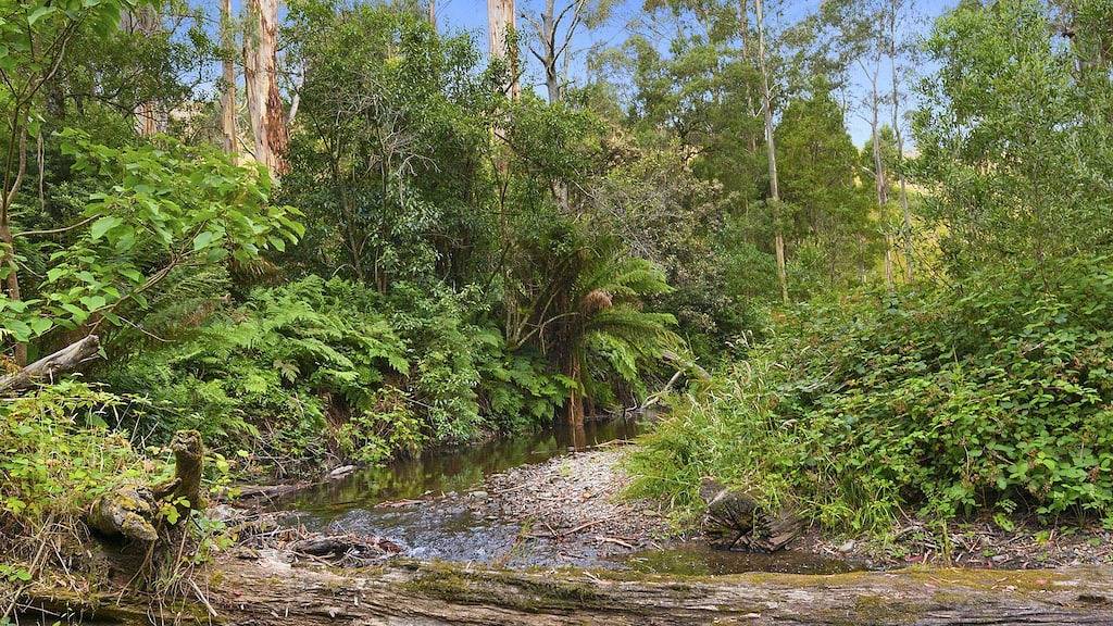 Ein Wenig Paradiseinsatz - Erstaunliche Weitere Einstellungen in Skenes Creek, Colac Otway Shire