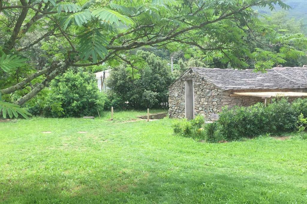 Olivetu in Sisco, Cap Corse