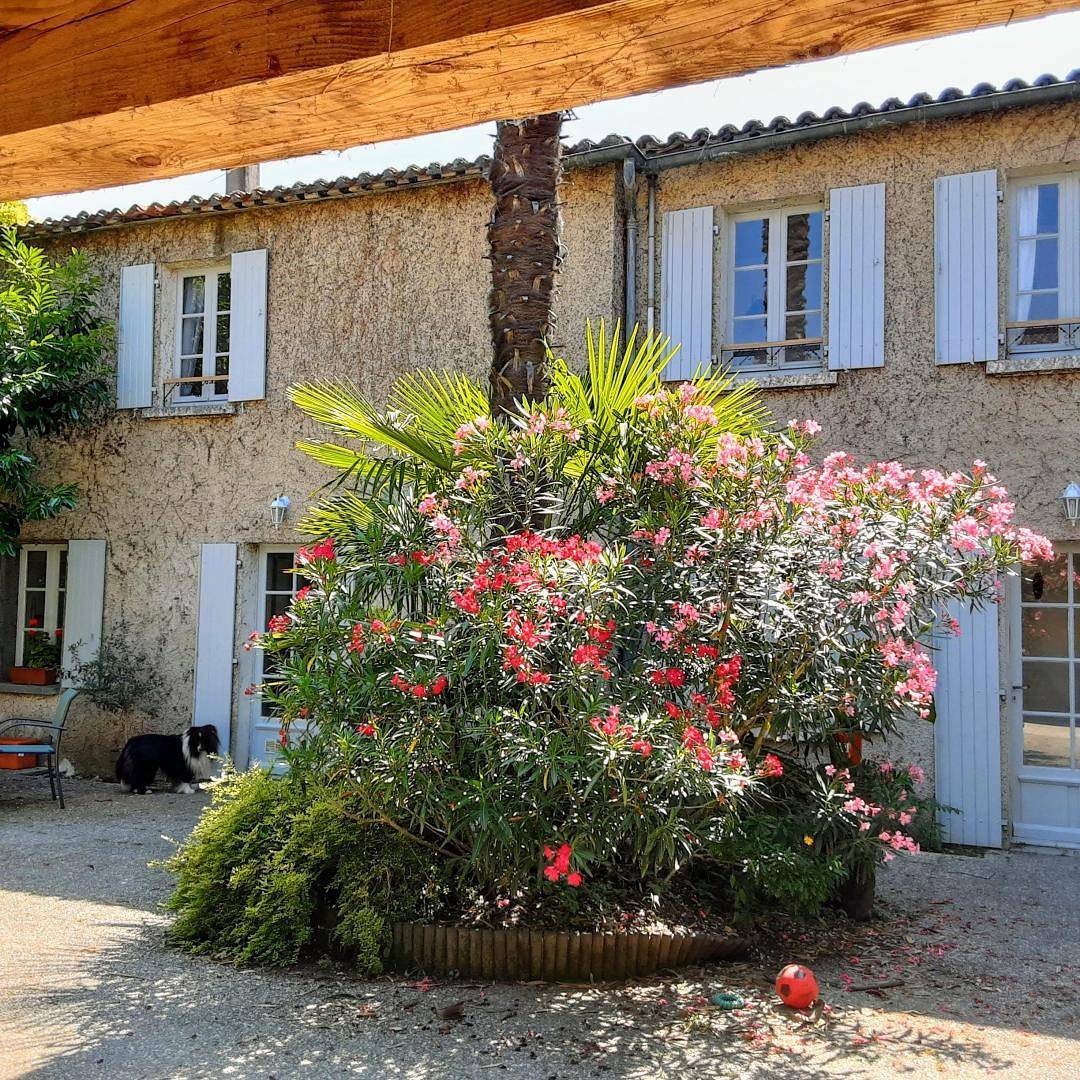 Annexe du pont de la Charente in Charente