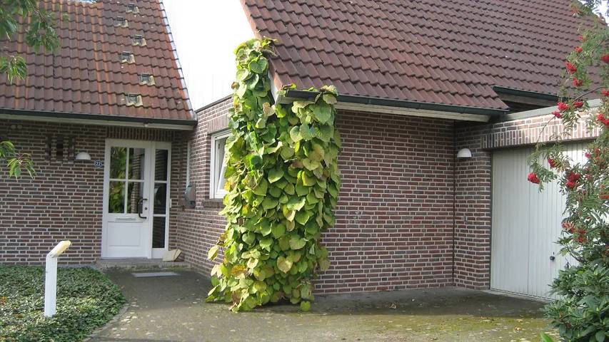 Ferienwohnung für 3 Personen, mit Garten