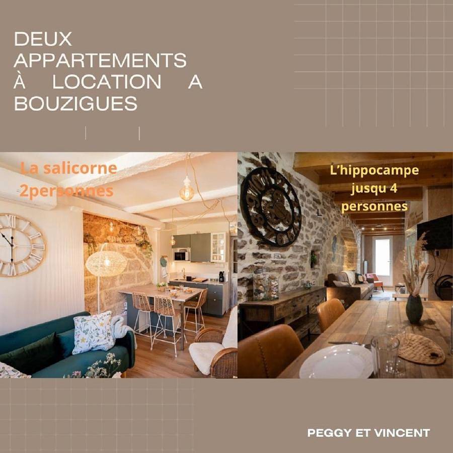 Appartement entier, Two-Bedroom Apartment in Bouzigues, Côte méditerranéenne (France)