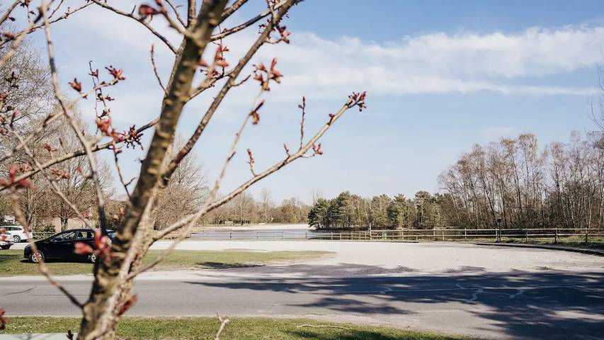 Ferienhaus für 4 Personen, mit Garten in der Lüneburger Heide - 3
