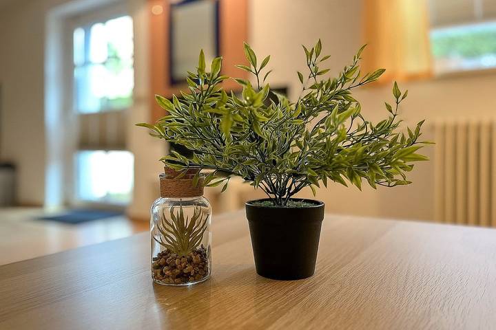 Appartamento intero, Appartamento vacanze per 2 persone con terrazza in Strand Boltenhagen, Boltenhagen