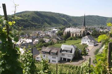 BnB für 3 Personen, mit Garten und Ausblick in Rheinland-Pfalz