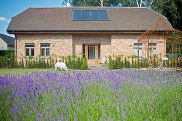 Cottage pour 4 personnes, avec jardin ainsi que vue et sauna à Lille (Belgique)