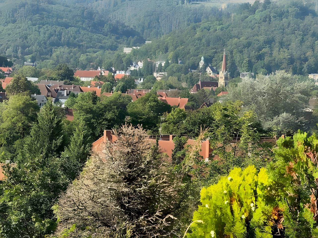 Appartement 'Terrassenappartement in de Harz' met bergzicht, privéterras en wifi, foto 12