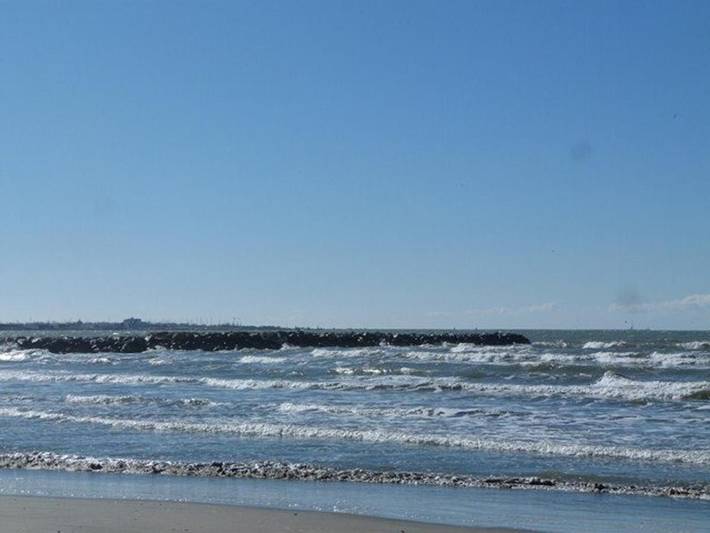 Gîte pour 5 personnes, avec piscine dans Flamingo Casino Le Grau Du Roi - 3