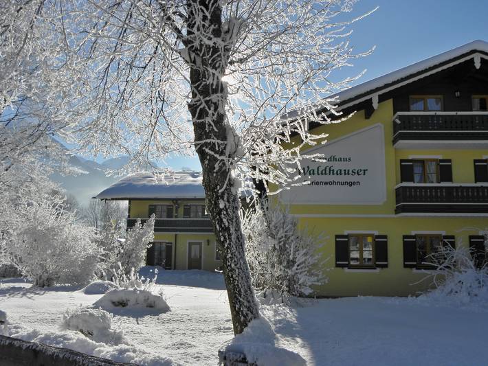 Ganze Ferienwohnung, Landhaus Waldhauser - Ferienwohnung Nr. 15, 1-2 Personen, 33 qm, Wohn-/Schlafraum, Balkon in Schönau am Königssee, Berchtesgadener Alpen