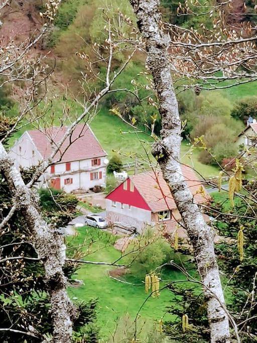 Location de vacances pour 8 personnes, avec Terrasse et Vue à Walscheid