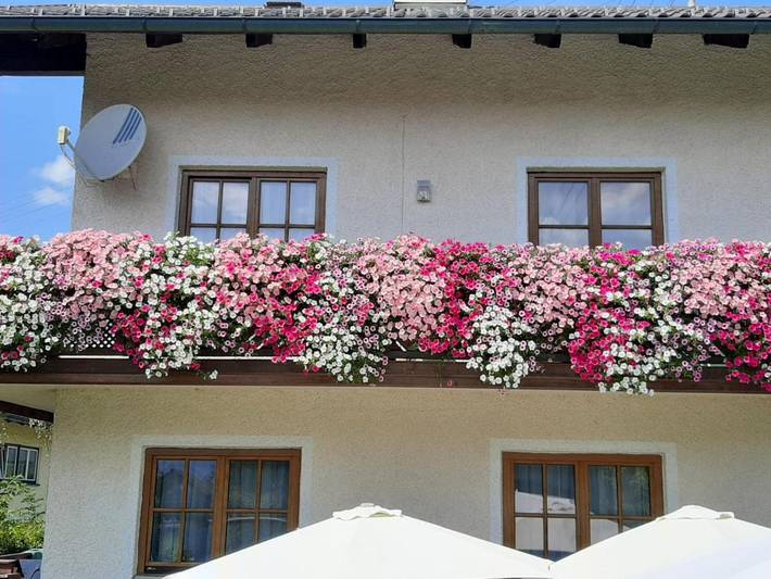 Ferienhaus für 8 Personen, mit Pool und Garten sowie Ausblick und Terrasse, mit Haustier in Bad Goisern am Hallstättersee - 4