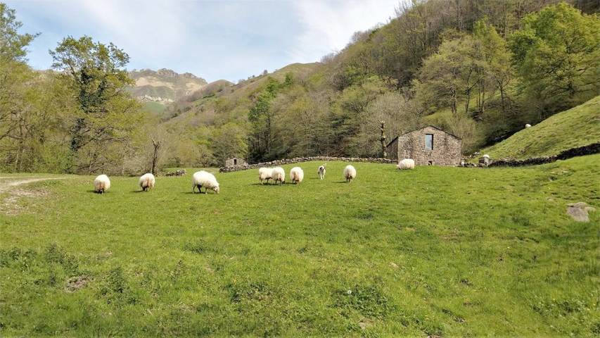 Casa rural para 6 personas, con jardín y vistas, Se admiten mascotas en Valle del Pas-Pisueña - 4