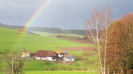 Ferienwohnung für 5 Personen in Elzach, Hochschwarzwald, Bild 2