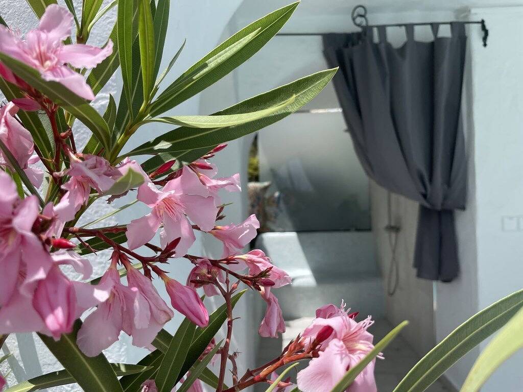 Apartamento vacacional de 1 dormitorio. in La Herradura, Costa Tropical