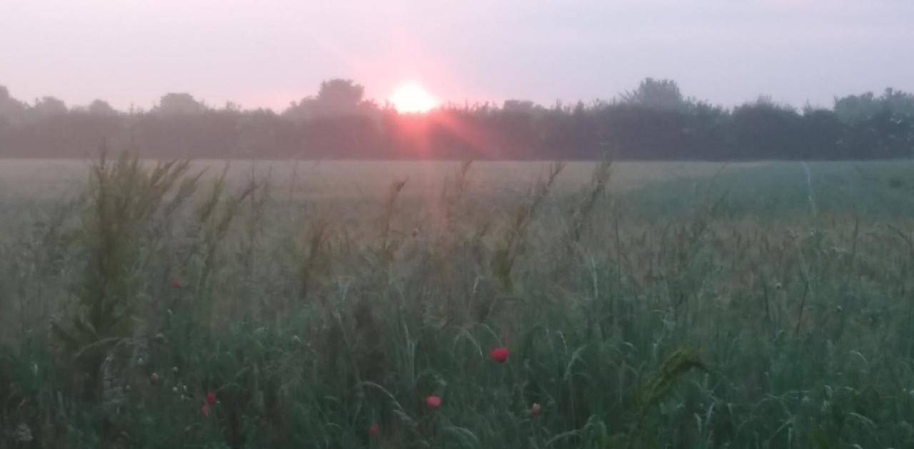Un coin beau & très calme pour poser votre camping in Caligny, Région d'Argentan