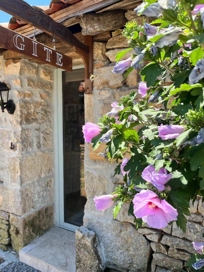 Location de vacances pour 3 personnes, avec piscine et jardin à Champagne-Mouton - 2