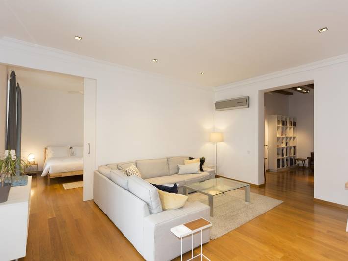 Apartamento vacacional entero, Apartamento Céntrico De 3 Dormitorios Con Terraza in Centro Barcelona, Barcelona