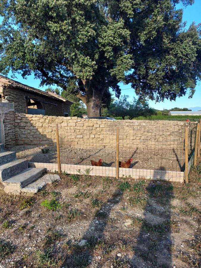 Maison d’hôte pour 4 personnes, avec jardin et vue à Suze-la-Rousse - 2