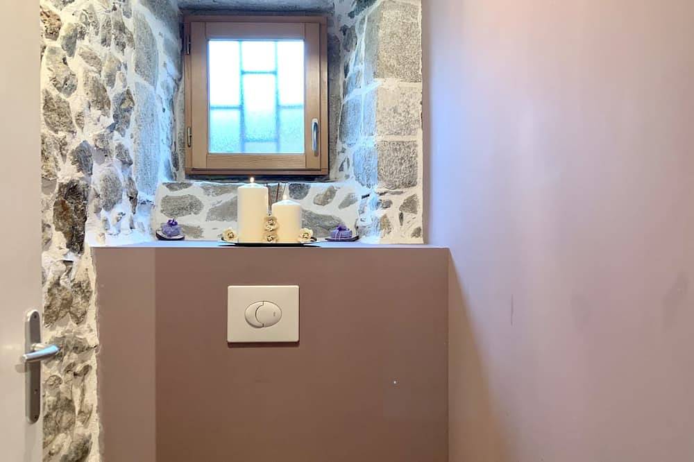 Maison du 18ème siècle très bien rénovée in Arras-en-Lavedan, Parc national des Pyrénées