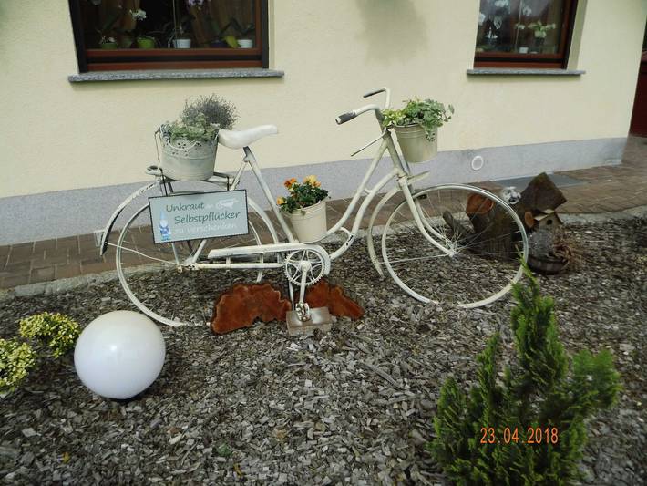 Ferienhaus für 3 Personen, mit Terrasse und Garten in Lauta - 2