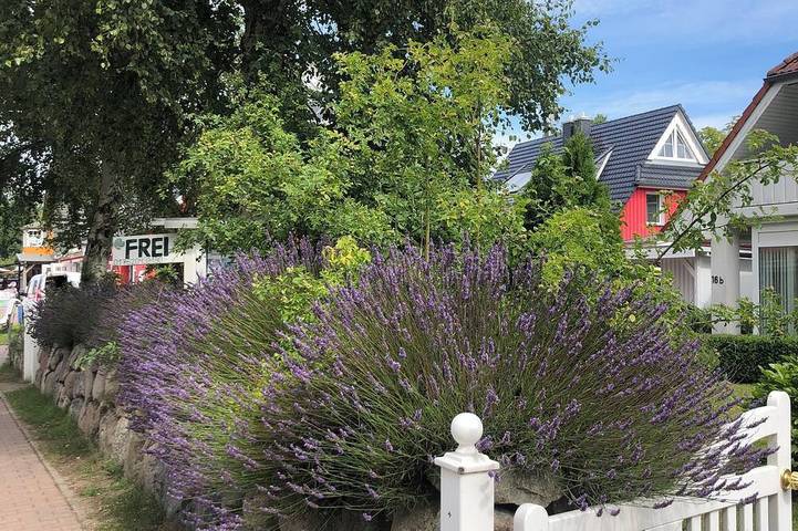 Ferienwohnung für 2 Personen, mit Sauna und Terrasse im Ostseebad Prerow - 4