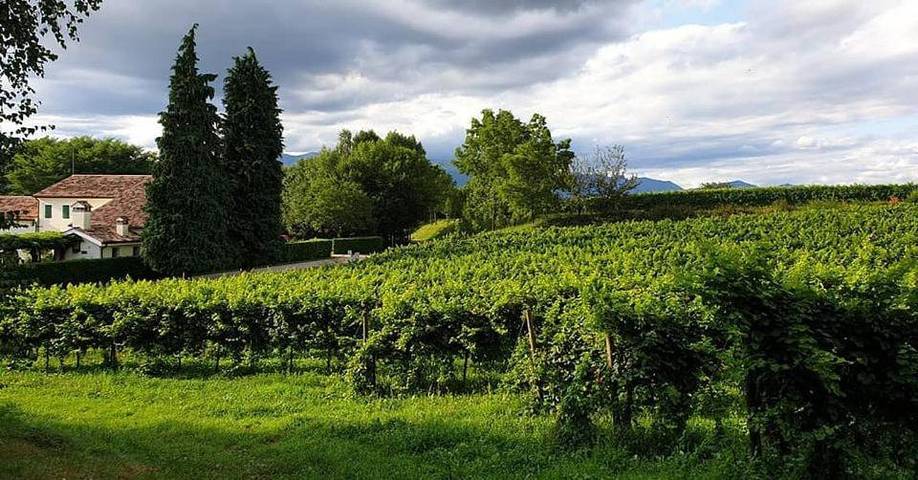 Casa vacanza, con Terrazza e Giardino nonché Panorama a Volpago del Montello