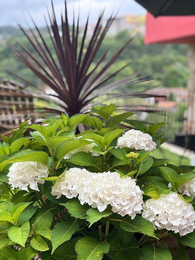 Location de vacances pour 6 personnes, avec jardin ainsi que vue et piscine dans Alpendurada - 3